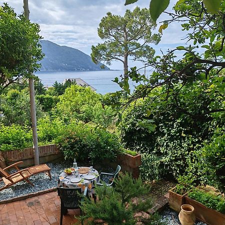 B&B La Taverna Di Mulinetti Recco Esterno foto